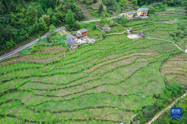 1664182044219031.jpg 6.jpg